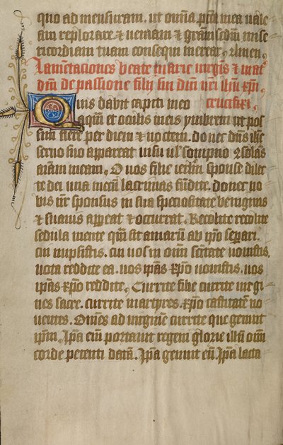 Decorated Text Page by Unknown artist