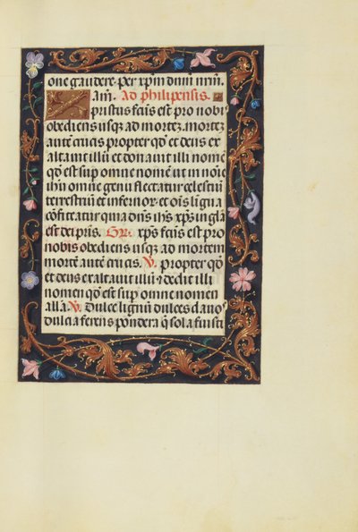 Decorated Text Page by Unknown artist