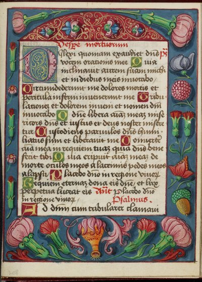 Decorated Text Page by Unknown artist