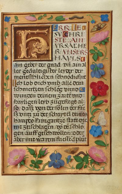 Decorated Text Page by Unknown artist