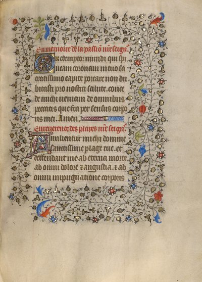 Decorated Text Page by Unknown artist