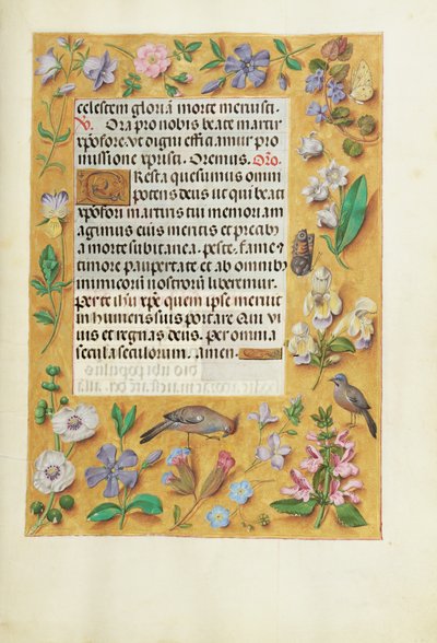 Decorated Text Page by Unknown artist