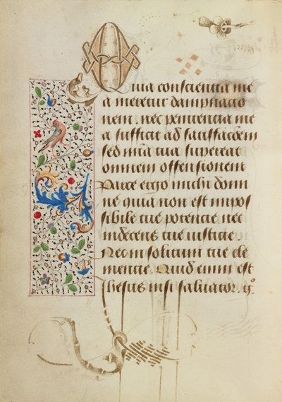 Decorated Text Page by Unknown artist
