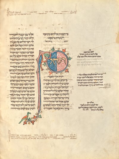 Decorated Text Page by Unknown artist