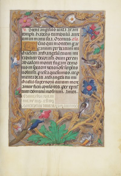 Decorated Text Page by Unknown artist