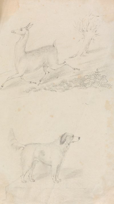 Deer and Dog by Unknown artist
