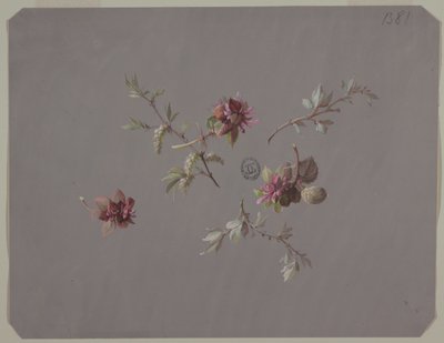 Design for Wallpaper and Textiles: Flowers by Unknown artist