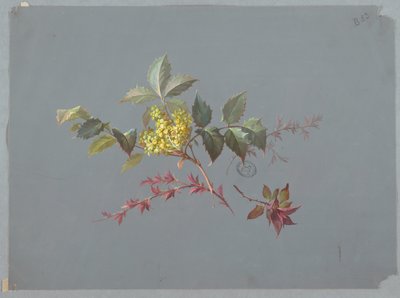 Design for Wallpaper and Textiles: Flowers by Unknown artist