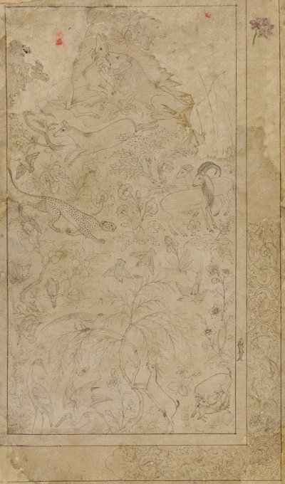 Drawing of Animals and Plants by Unknown artist