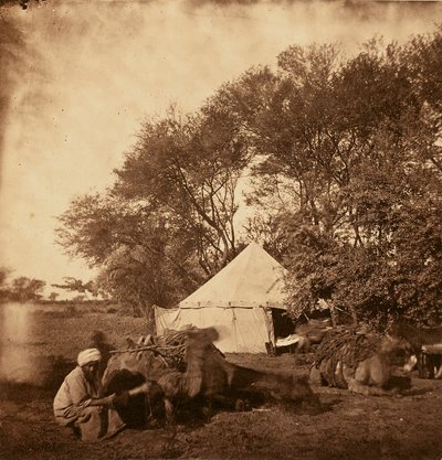 Faiyum Oasis by Unknown artist
