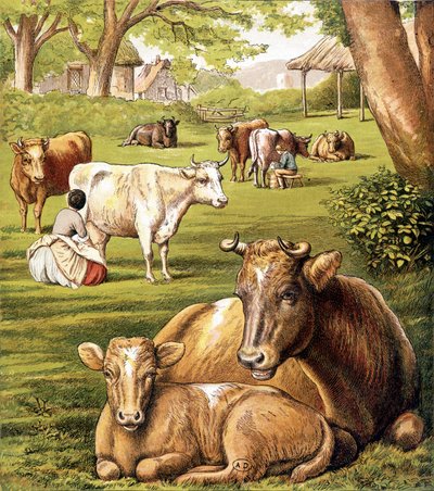 Farmers Drawing Milk. 19th Century by Unknown artist