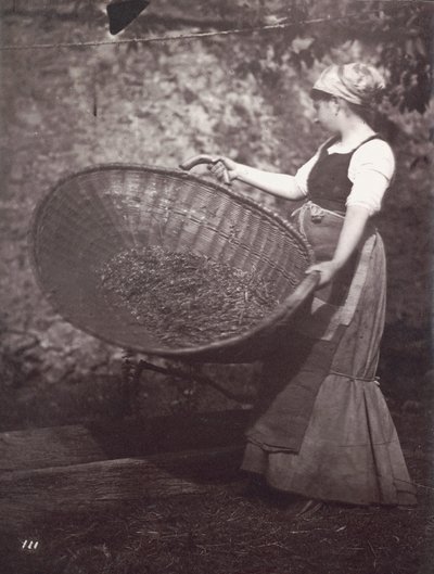 Female Peasant with Winnowing Basket by Unknown artist