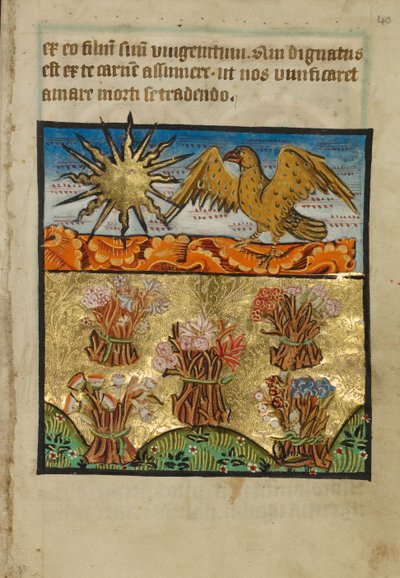 Five Bunches of Flowers by Unknown artist