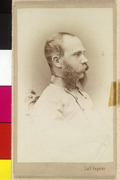 Franz Joseph I by Unknown artist