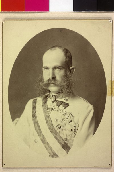 Franz Joseph I by Unknown artist