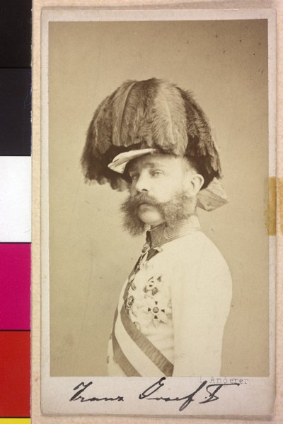 Franz Joseph I by Unknown artist