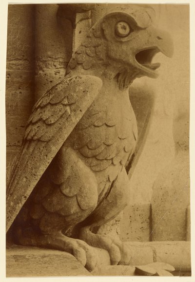 Gargoyle, Notre-Dame by Unknown artist