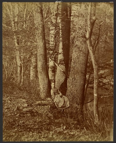 Girl Sitting Between Trees by Unknown artist