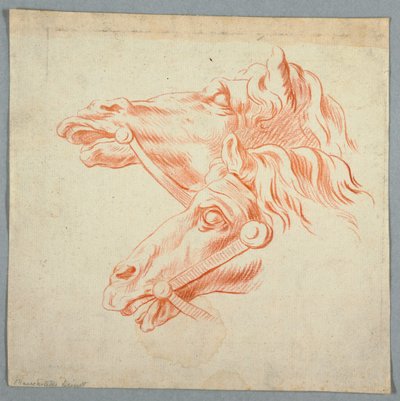 Horse Studies by Unknown artist