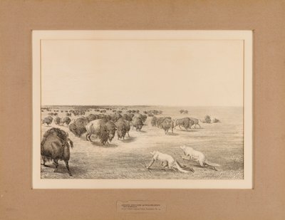 Indians Disguised As Wolves, No. 13 by Unknown artist