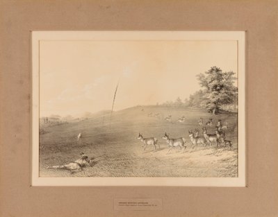 Indians Hunting Antelope--no. 20 by Unknown artist