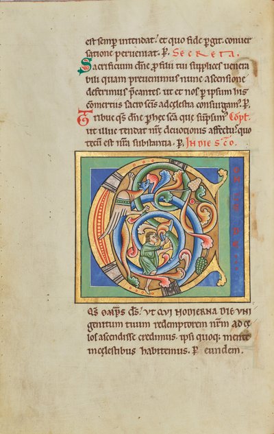 Inhabited Initial C by Unknown artist