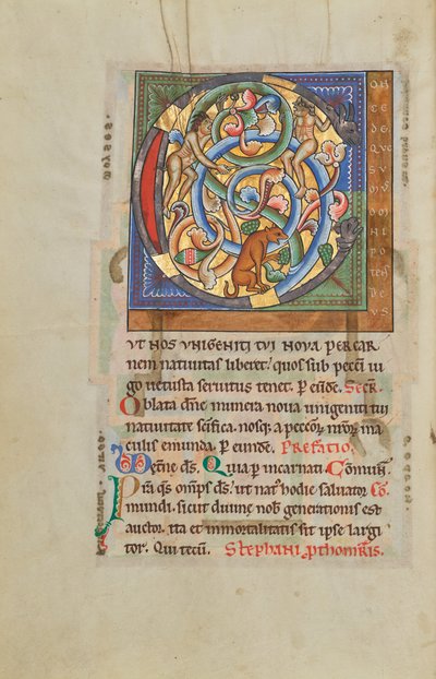 Inhabited Initial C by Unknown artist