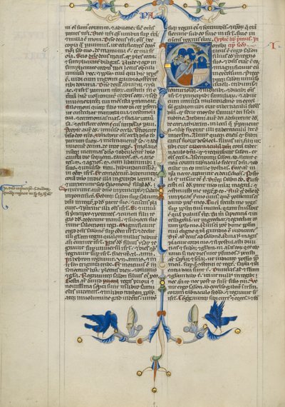 Initial C: Solomon Sacrificing in the Temple by Unknown artist
