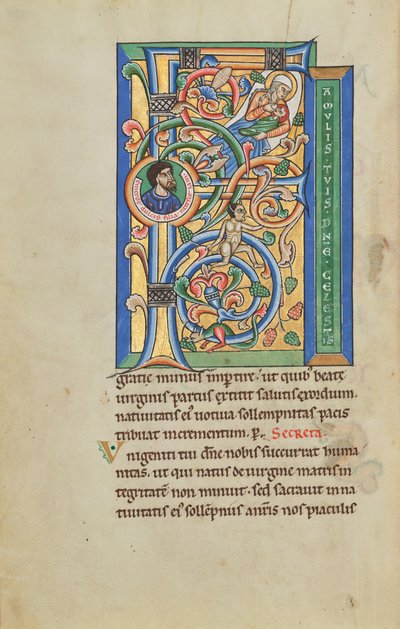 Initial F: The Birth of the Virgin by Unknown artist