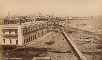 The Wall, Veracruz by Unknown artist