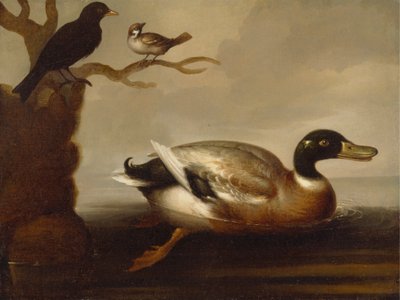 Mallard Duck and Other Birds by Unknown artist