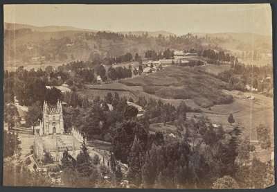Ootacamund. Nilgeris by Unknown artist