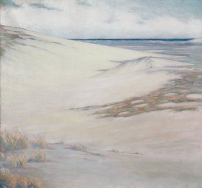 Over the Dunes, Cape Cod, Massachusetts by Unknown artist