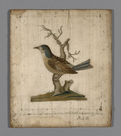 Picture of a Bird by Unknown artist