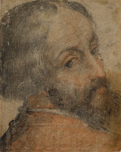 Portrait of Bearded Man (Lodovico Ariosto?) by Unknown artist