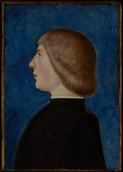 Portrait of a Young Man by Unknown artist