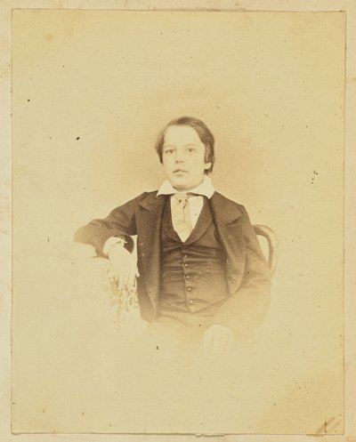 Portrait of a Young Boy by Unknown artist