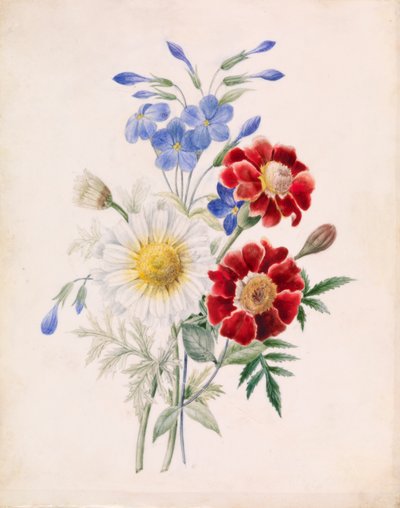 Red and Blue Flowers and White Daisy by Unknown artist