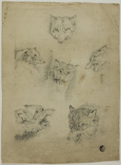 Six Sketches of Wolf Heads by Unknown artist