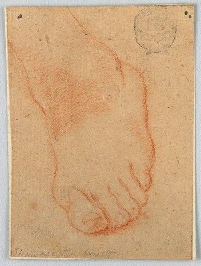 Sketch of a Left Foot by Unknown artist