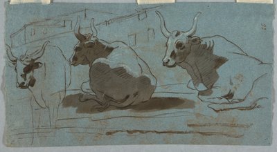 Sketches of Bulls by Unknown artist