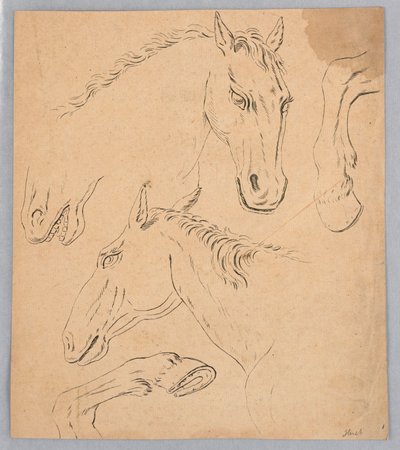 Sketches of Horse Heads and Hooves by Unknown artist