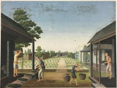 Spinning Cloth, Preparing Tea Leaves, Preparing Silk by Unknown artist