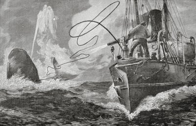 Steamers as Whalers by Unknown artist
