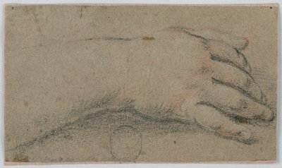Study: The Right Hand of a Woman by Unknown artist