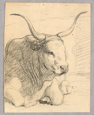 Study: a lying cow by Unknown artist