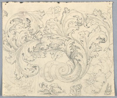 Study for Curling Acanthus Ornament by Unknown artist