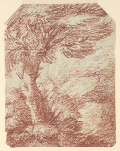 Study of Trees by Unknown artist