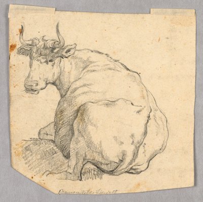 Study of a Cow by Unknown artist