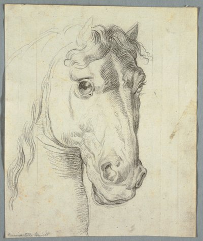 Study of a Horse by Unknown artist